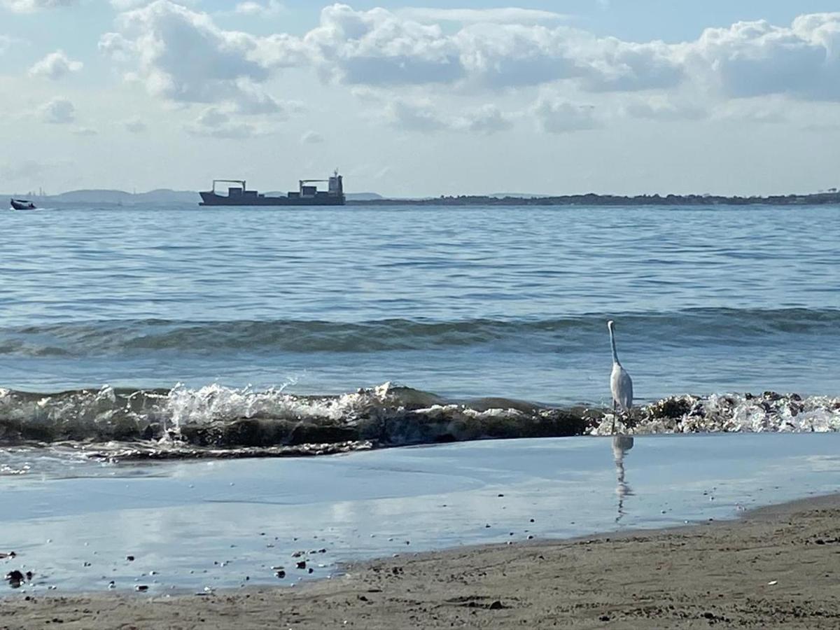 Apto Exclusivo En Bocagrande Frente Al Mar Cartagena Dış mekan fotoğraf